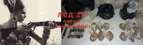 гидра Вязьма