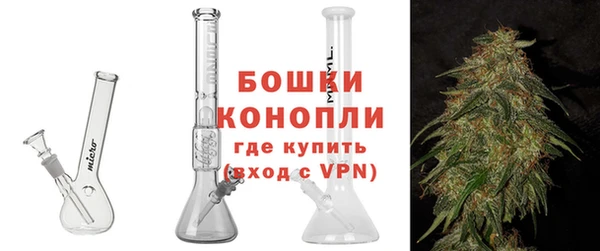 гидра Вязьма