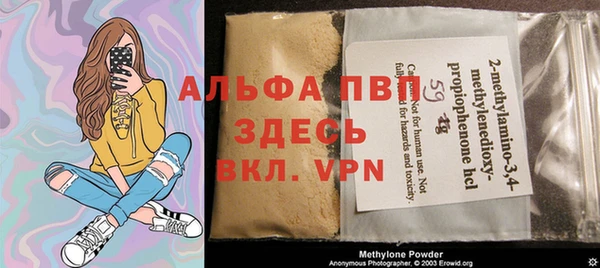 гидра Вязьма