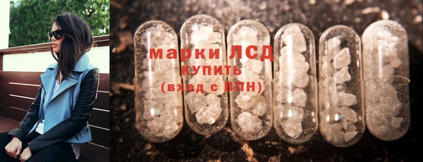 гидра Вязьма