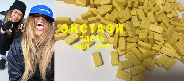 гидра Вязьма