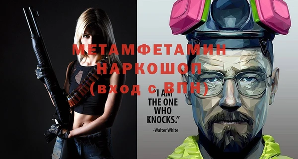 гидра Вязьма
