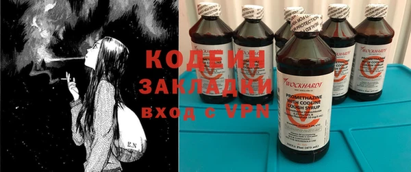 гидра Вязьма