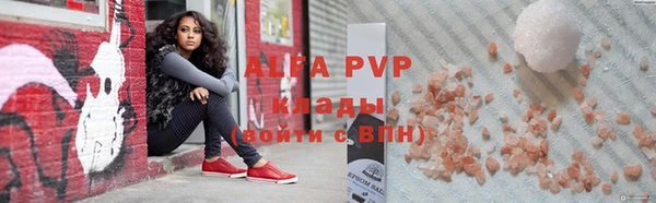 гидра Вязьма