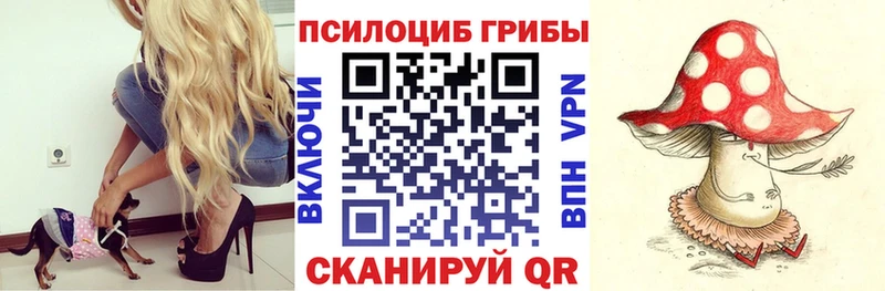 это как зайти  Чудово  Галлюциногенные грибы мухоморы  закладки 